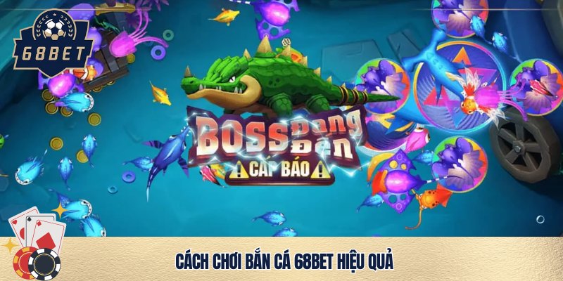 Mẹo hay săn cá hiệu quả